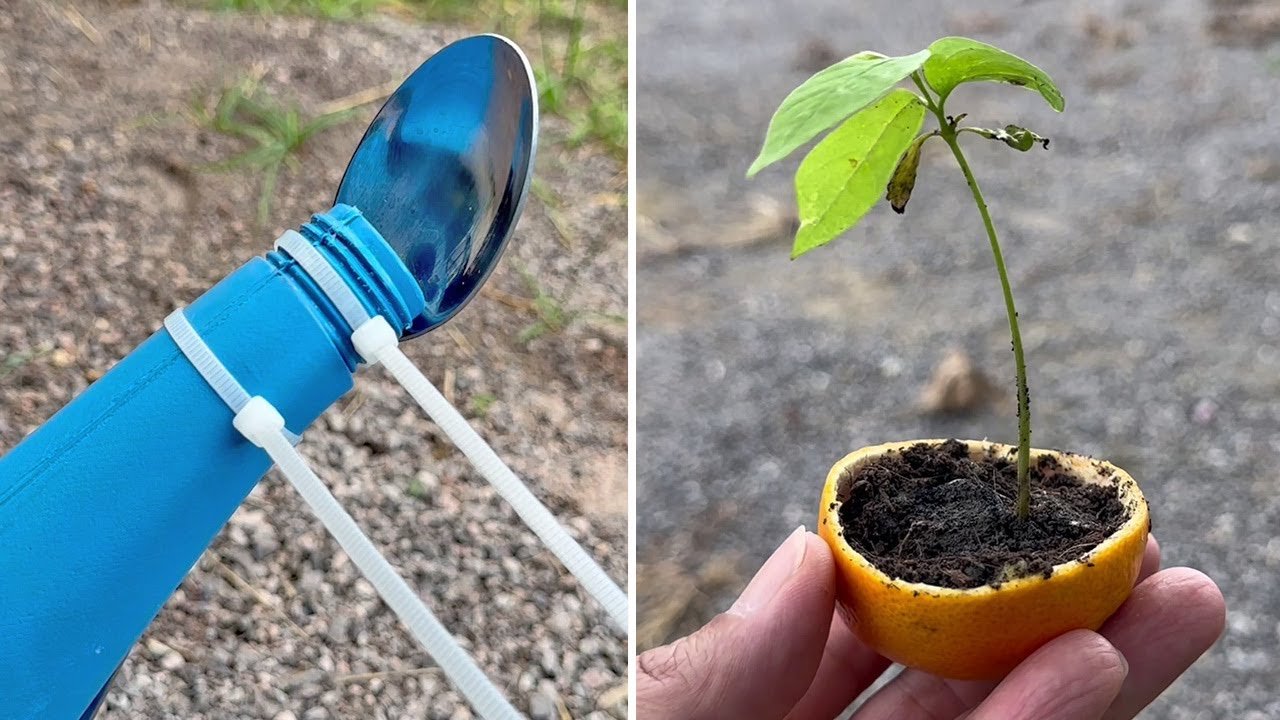 12 Dicas E Truques Simples De Jardinagem