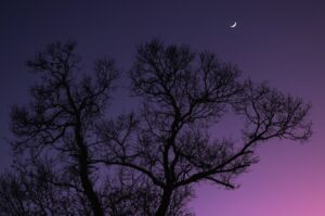 Conjunção entre a Lua e Vênus encanta espectadores pelo